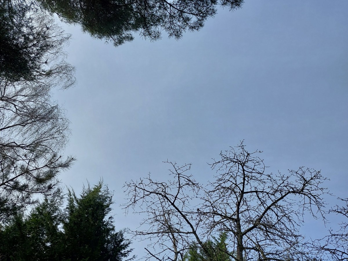 Vos souhaits pour la suite&nbsp;!