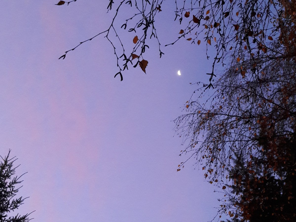 Jusqu&rsquo;où s’embêter avec la cohérence&nbsp;?