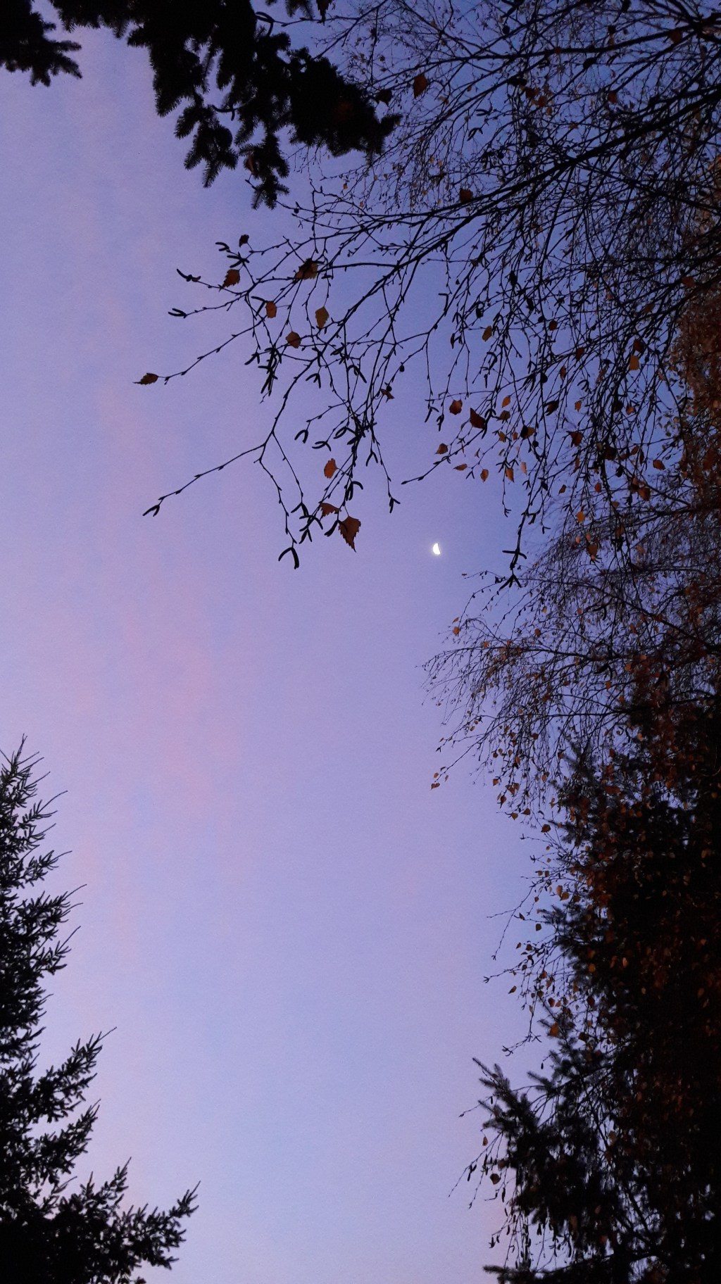 Jusqu’où s’embêter avec la cohérence ?