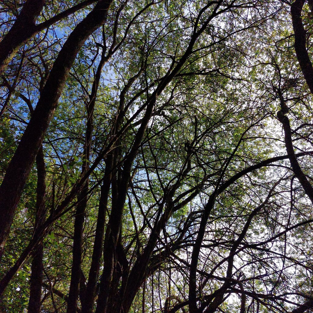 Début mai et bilan d&rsquo;avril&nbsp;2024