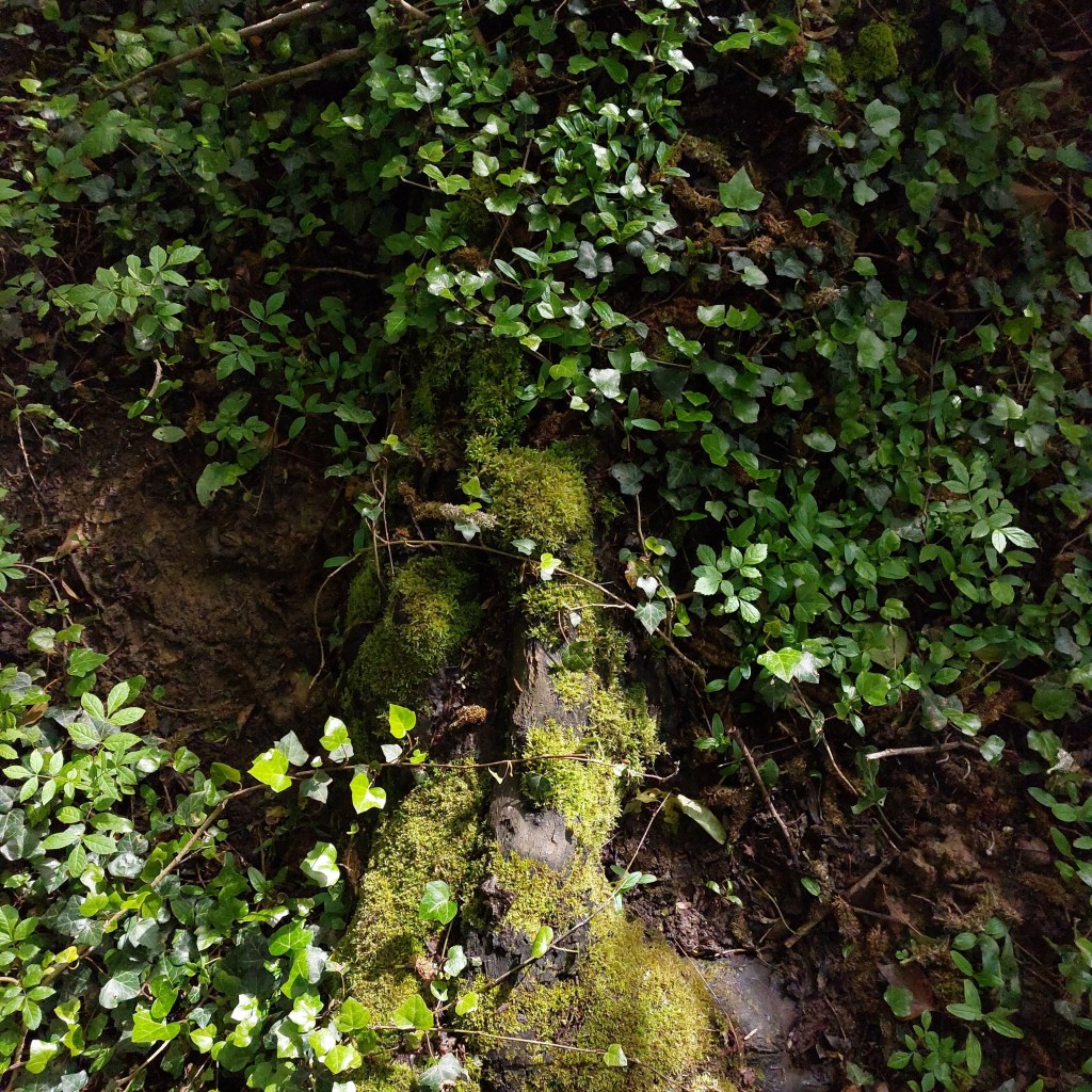 Bibliographie en mythologie&nbsp;comparée