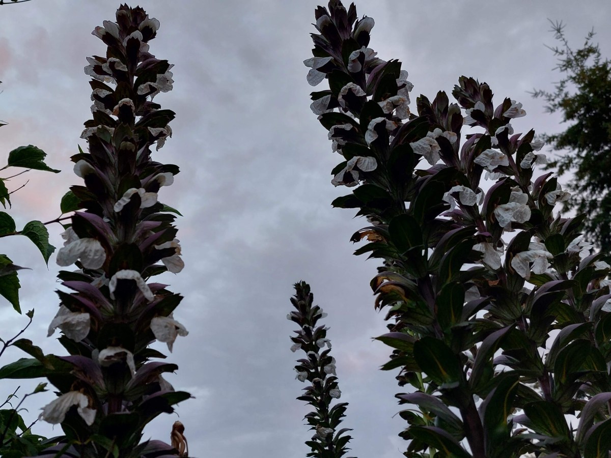 L’emprise de l&rsquo;ogre