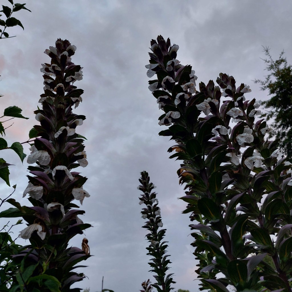 L’emprise de l&rsquo;ogre