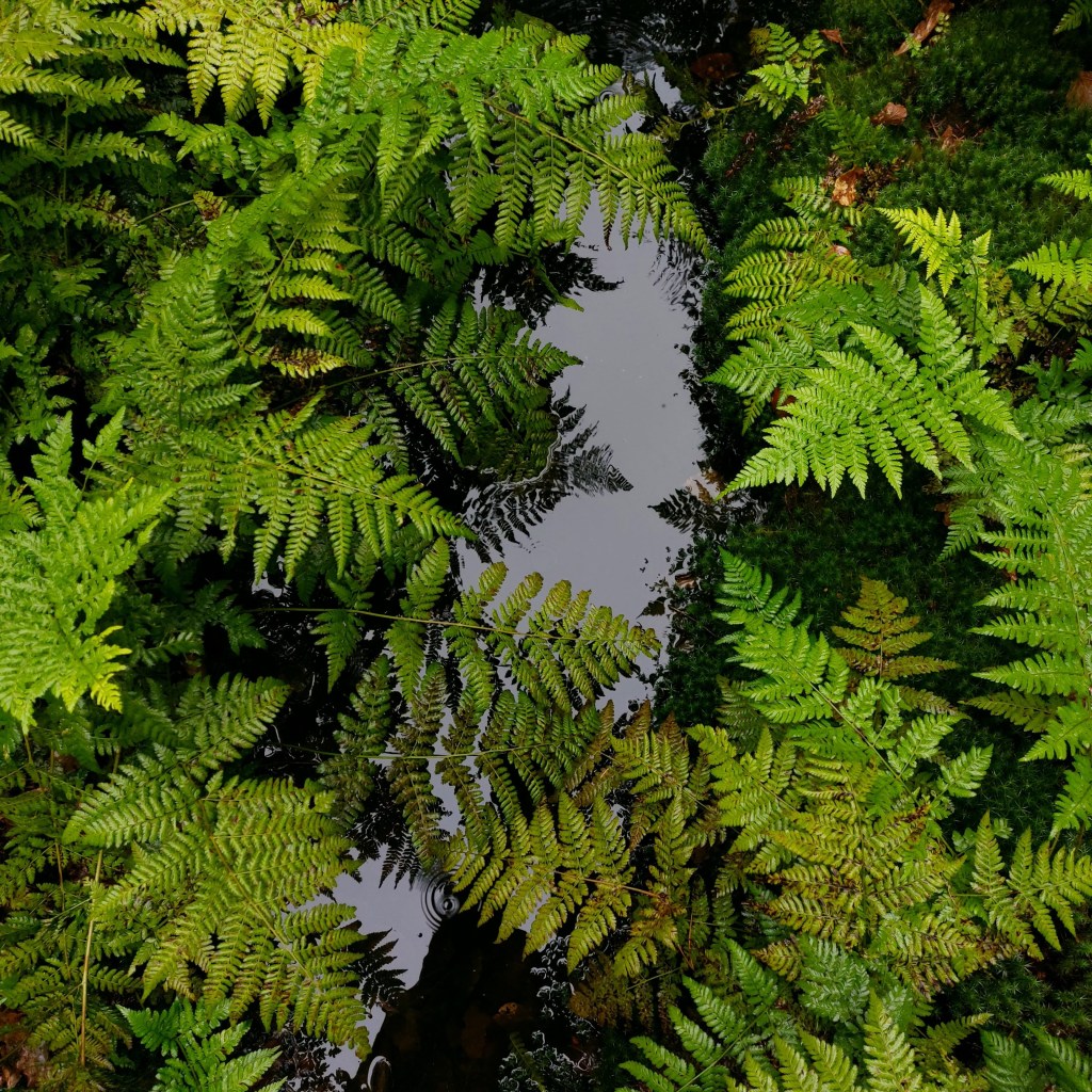 Actualités et bilan d&rsquo;août&nbsp;2024