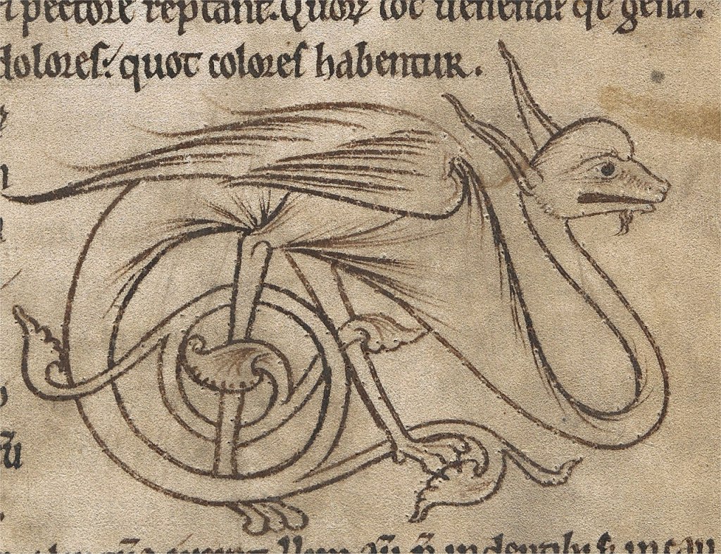 Du mariage avec un dragon Ă Twilight