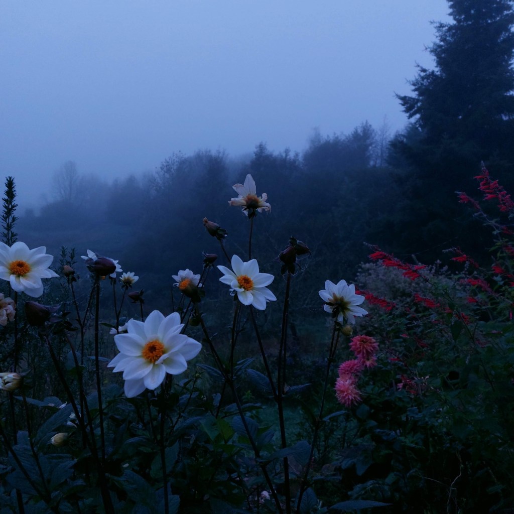 Actualités et bilan d&rsquo;octobre&nbsp;2024