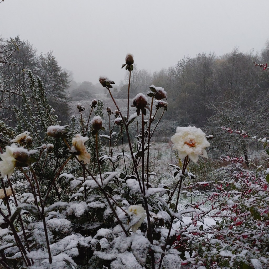D’OrphĂ©e aux apocalypses zombies