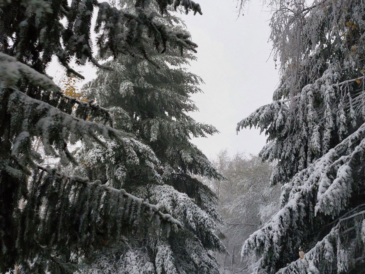 Les invités de&nbsp;l&rsquo;hiver