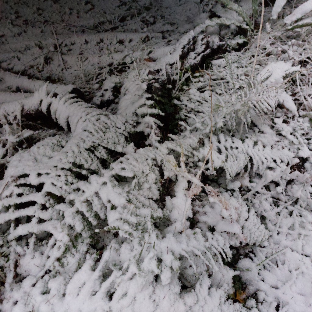 Les trois arcs d&rsquo;In-Existence
