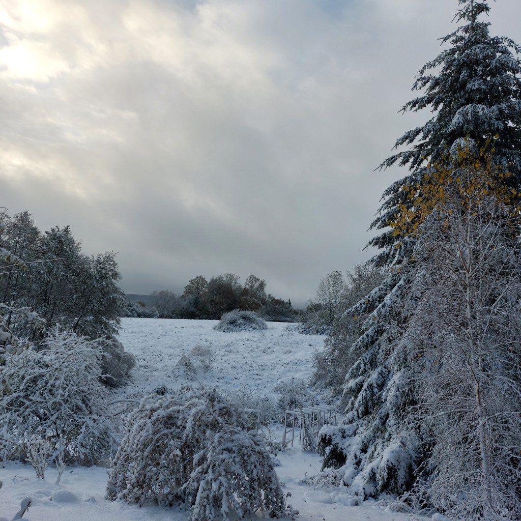 Le dévoilement des Limbes et le bouclage sans&nbsp;deadline
