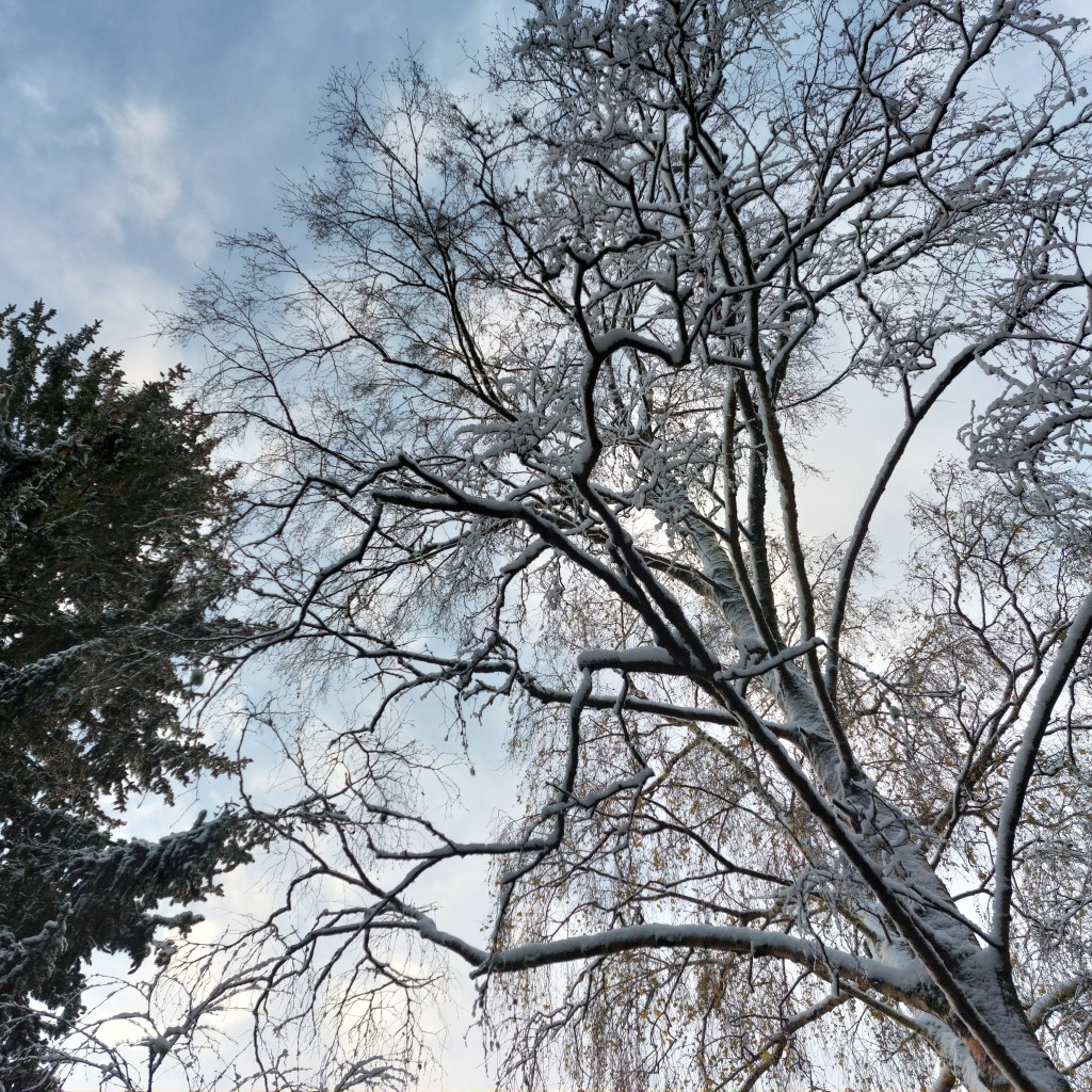 Début 2025 et bilan de décembre&nbsp;2024