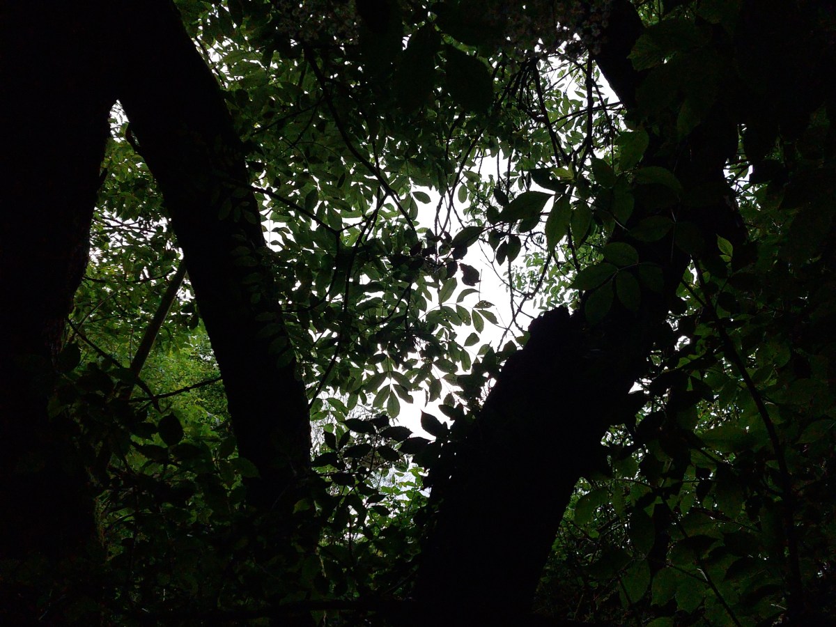 FIM – Le&nbsp;Regenland