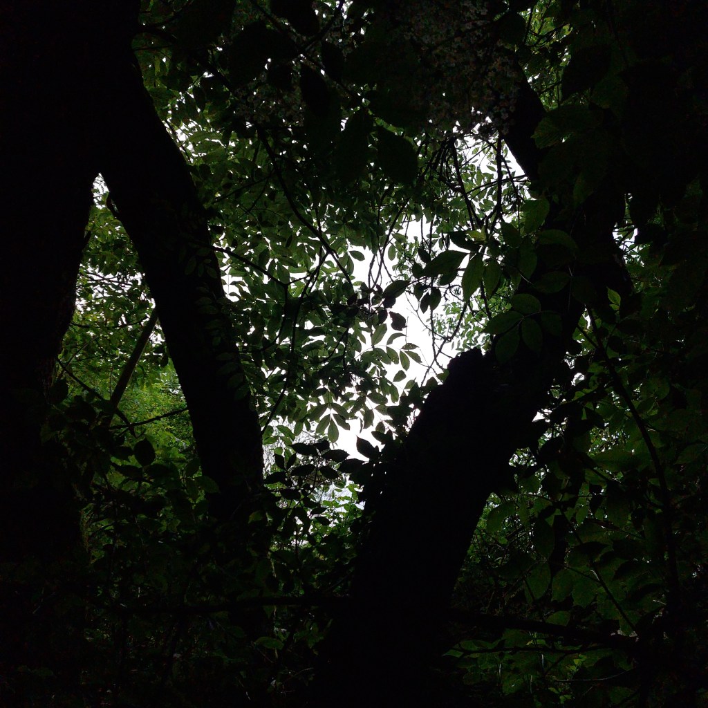 Bibliographie en criminologie et histoire de la&nbsp;violence