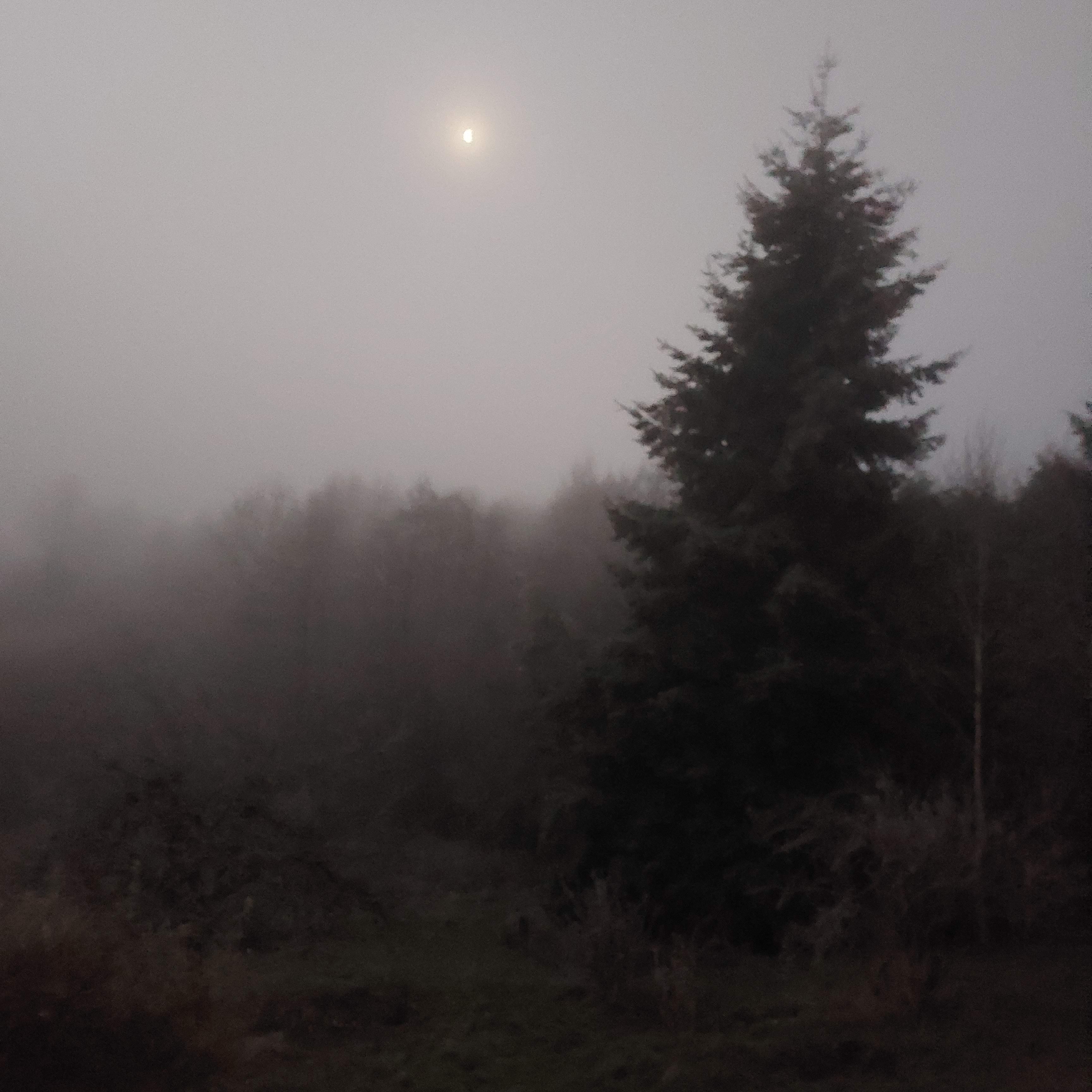 Matin crépusculaire