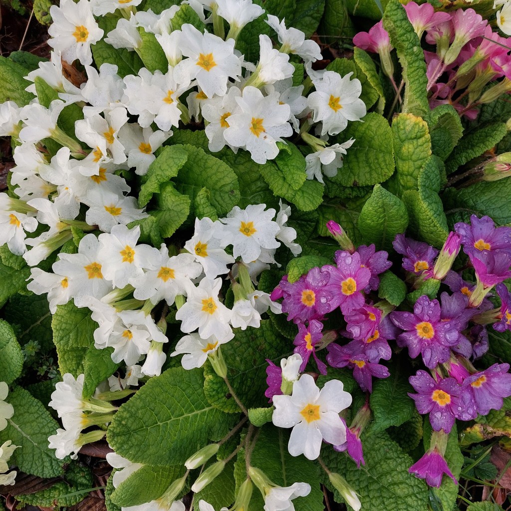 Bilan de février&nbsp;2025