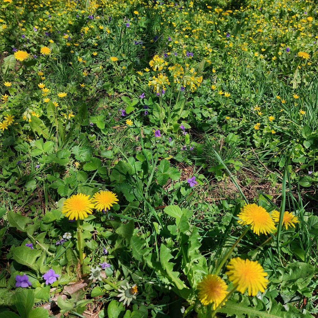 Bilan de mars&nbsp;2025