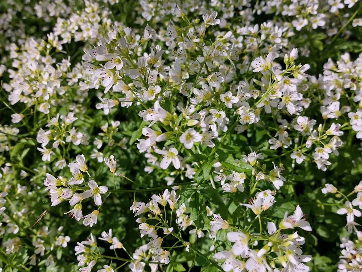 Bilan d&rsquo;avril 2025