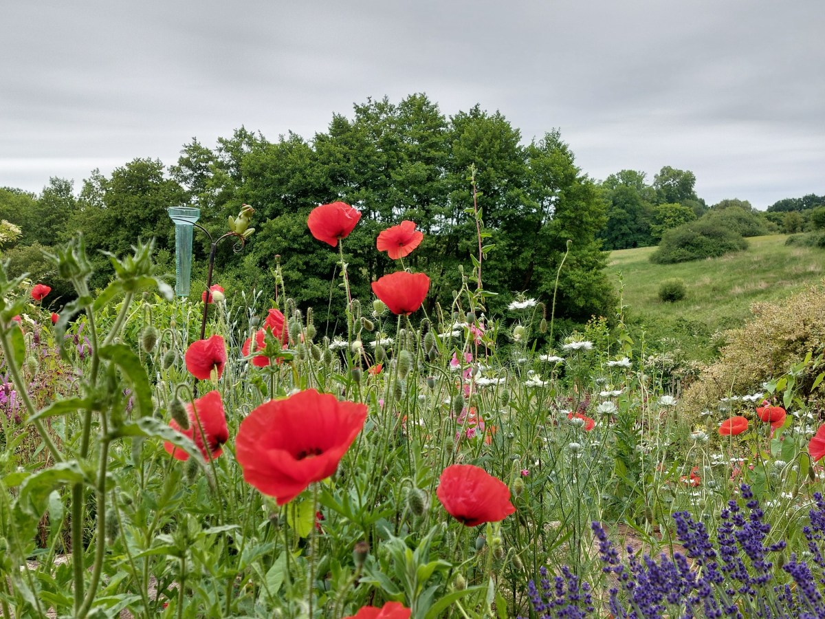 Bilan de mai&nbsp;2025