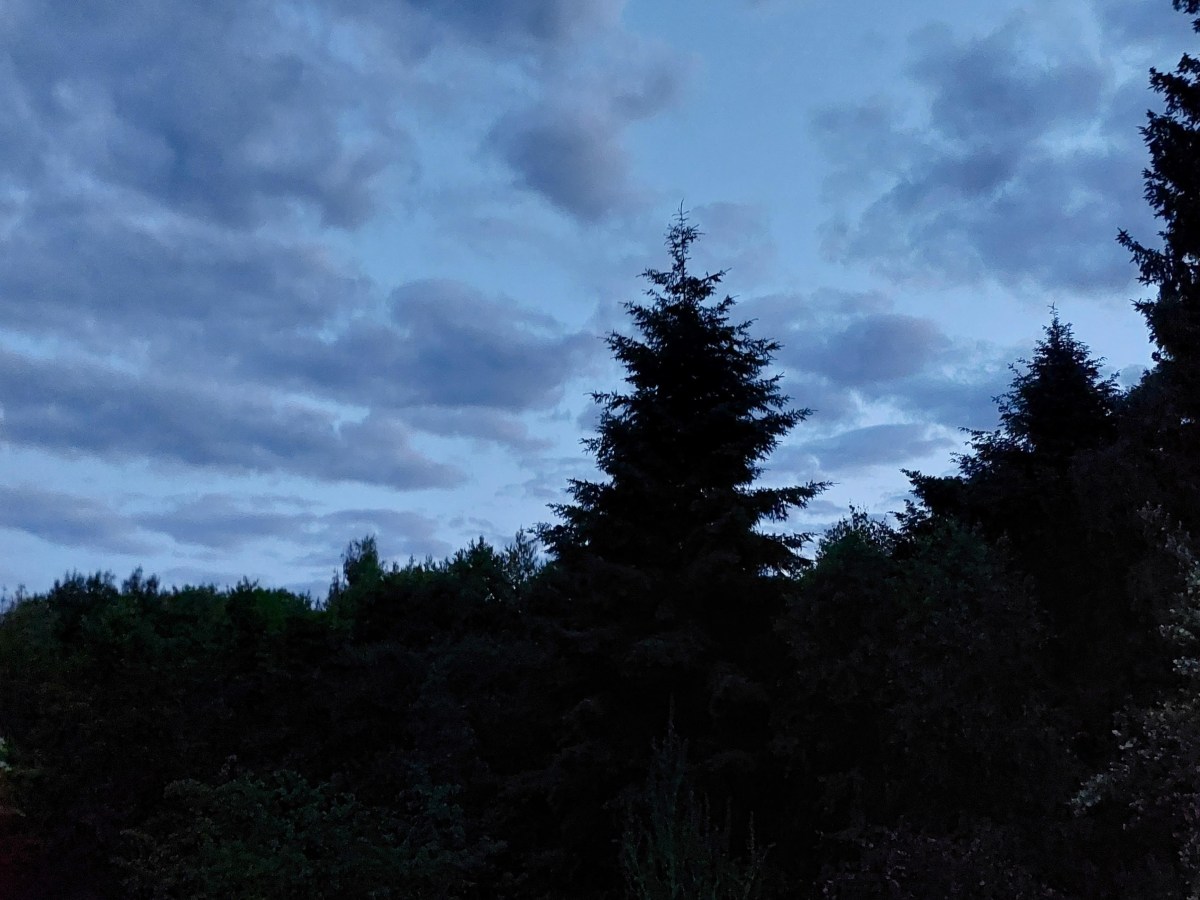 Le guestère, ou l&rsquo;étranger qui en sait&nbsp;trop