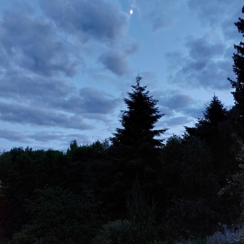 Le guestère, ou l&rsquo;étranger qui en sait&nbsp;trop