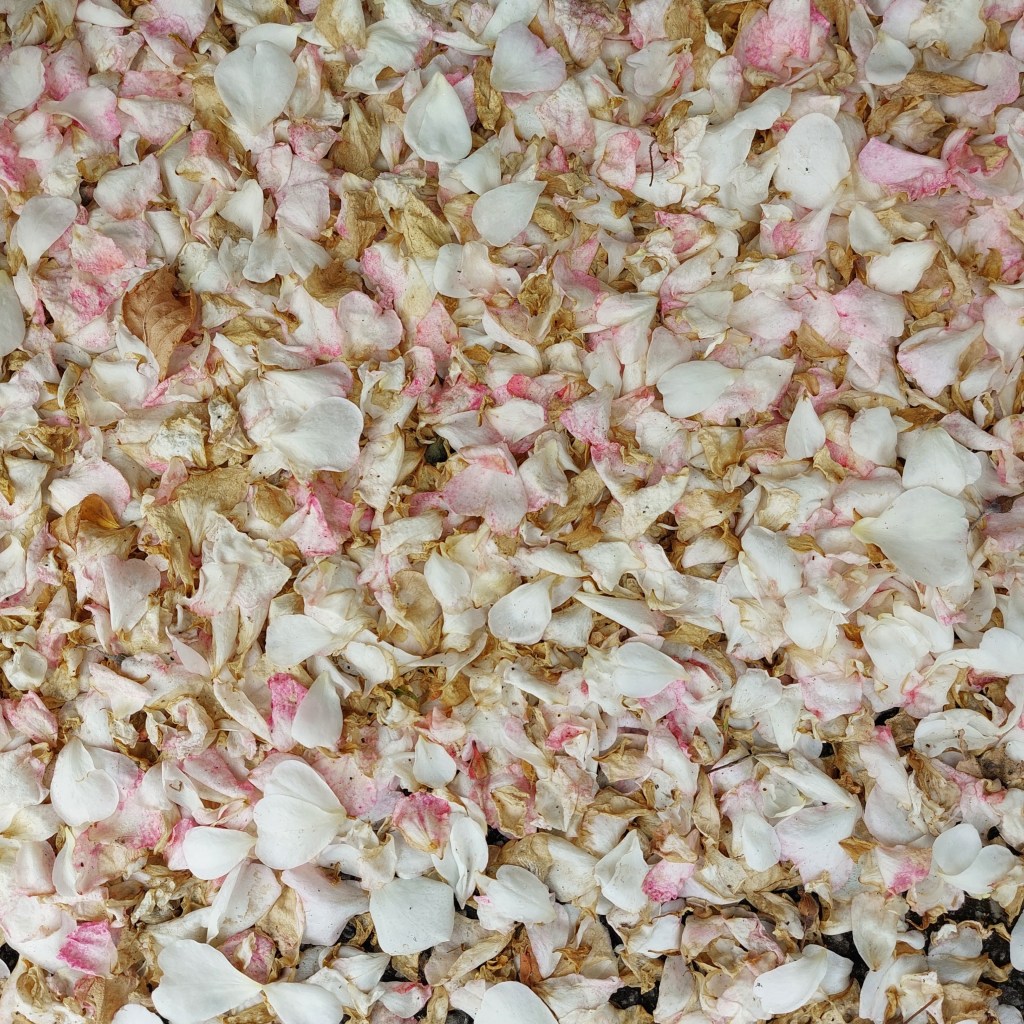 Révolutions et répressions