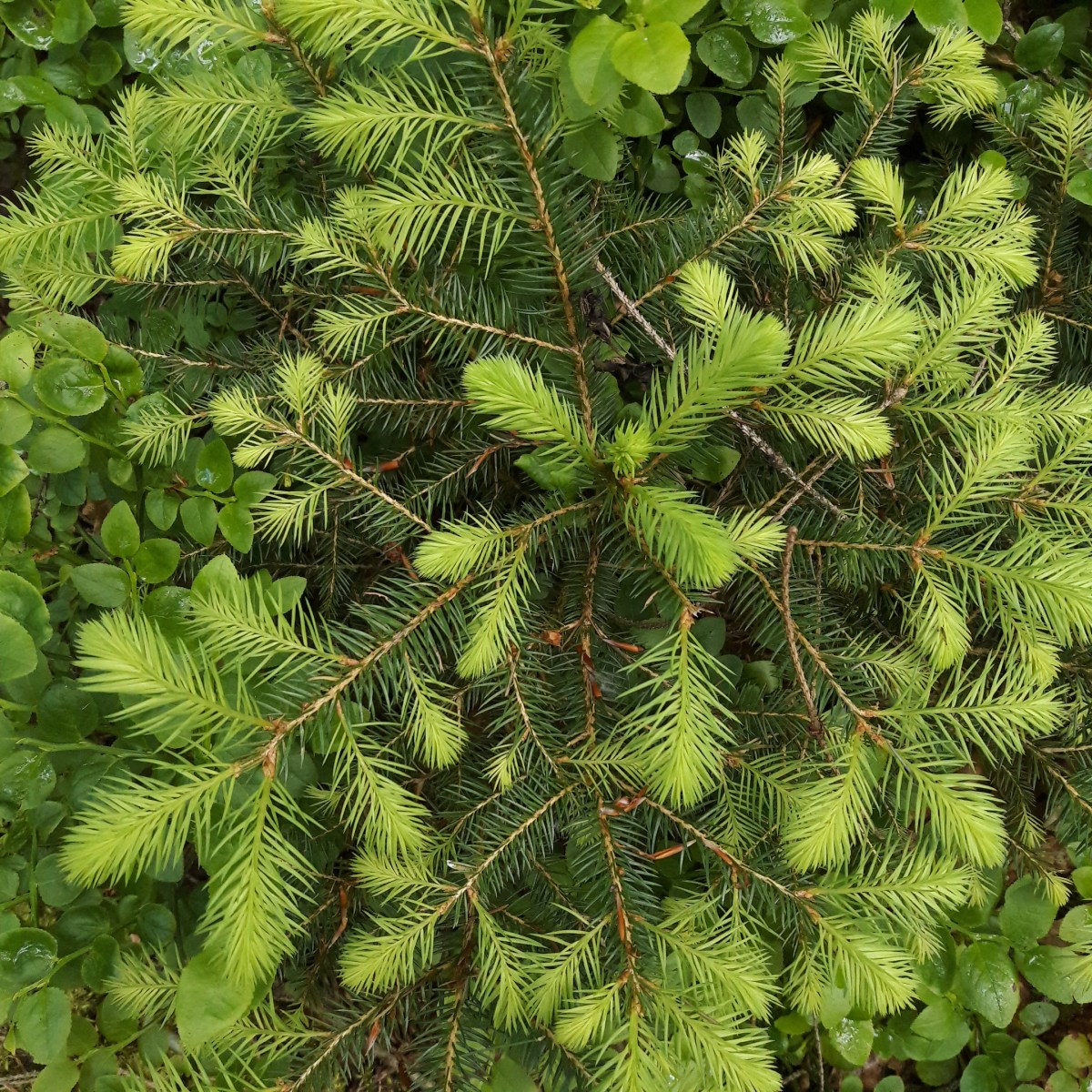 Dépouillement du sondage d&rsquo;octobre 2025 (4) : suite de la section&nbsp;2