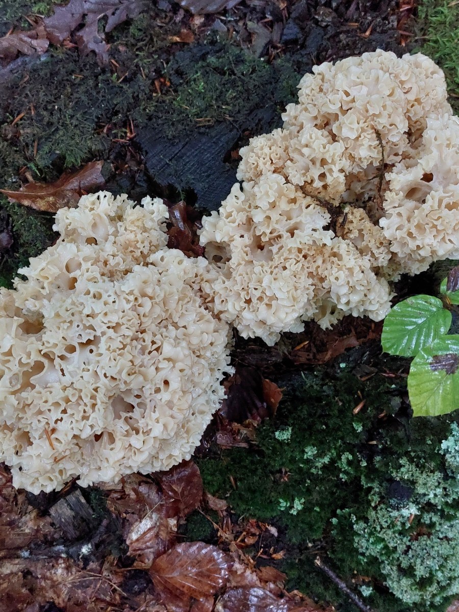 Bilan de septembre&nbsp;2025