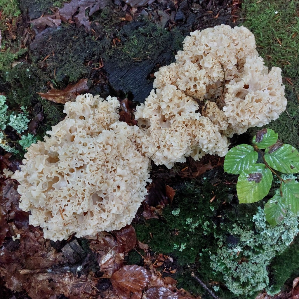 Bilan de septembre 2025