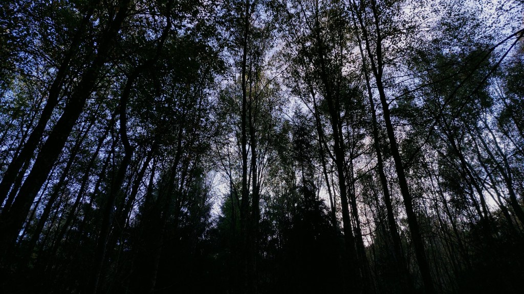 Bilan d&rsquo;octobre 2025