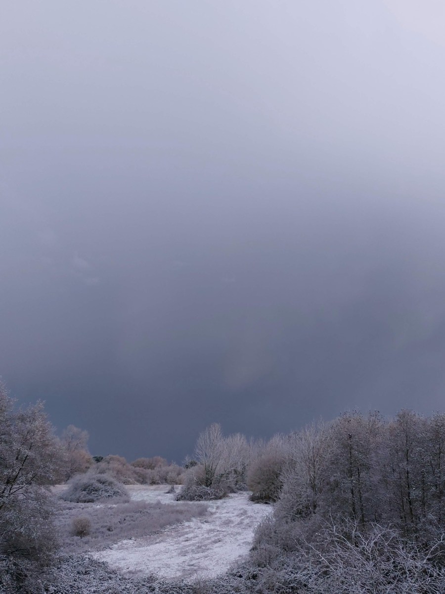 Bilan de novembre&nbsp;2025