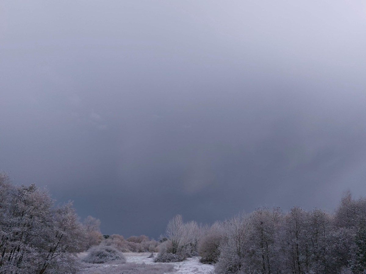 Bilan de novembre&nbsp;2025