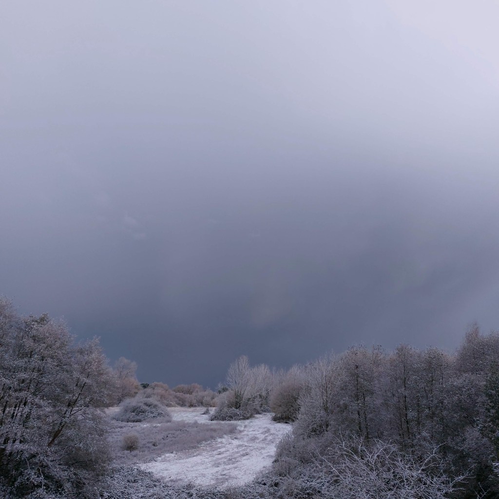 Bilan de novembre&nbsp;2025