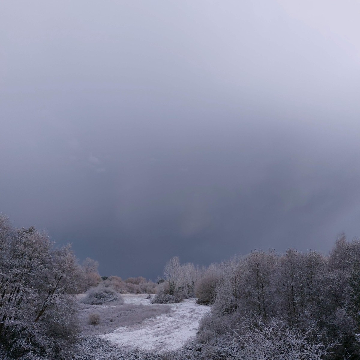 Bilan de novembre&nbsp;2025