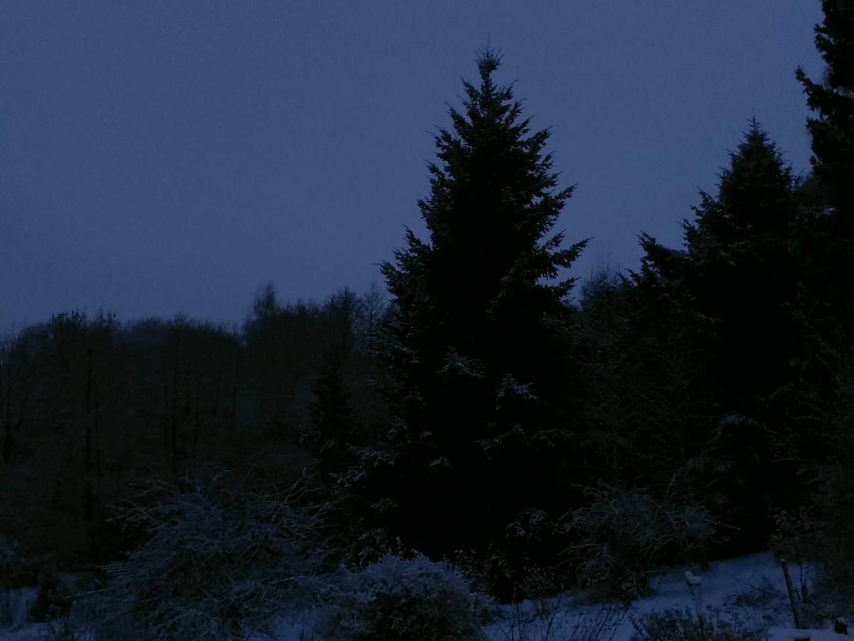 Bilan de décembre 2025 + début&nbsp;2026