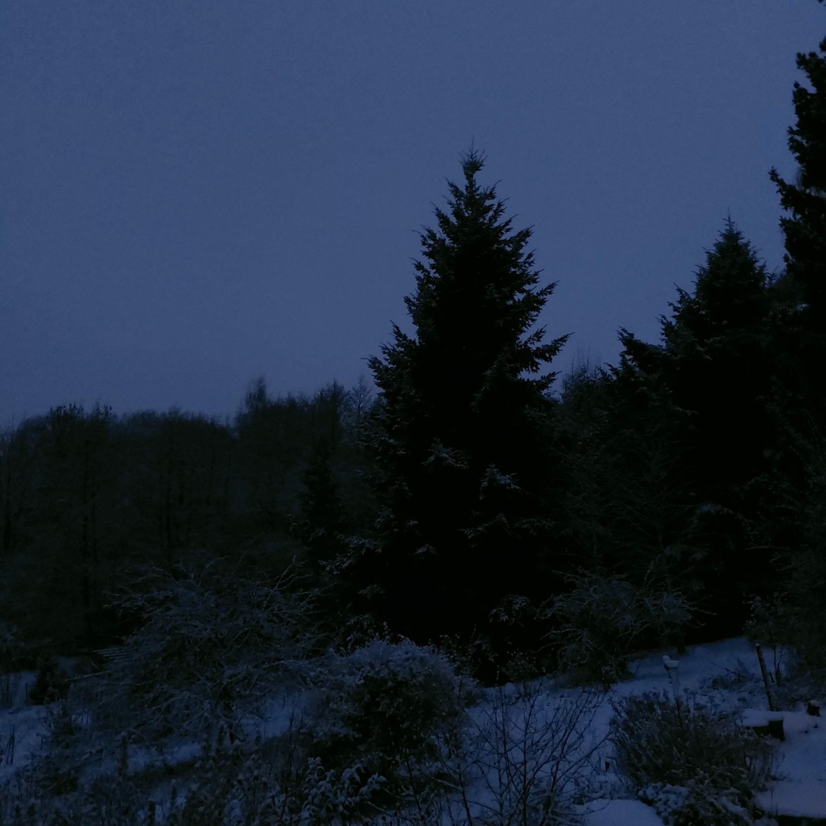 Bilan de décembre 2025 + début&nbsp;2026