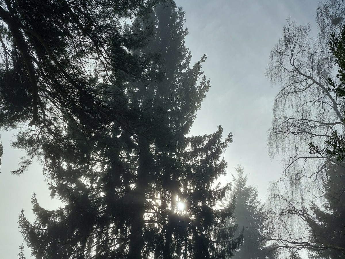 Bilan de janvier&nbsp;2026