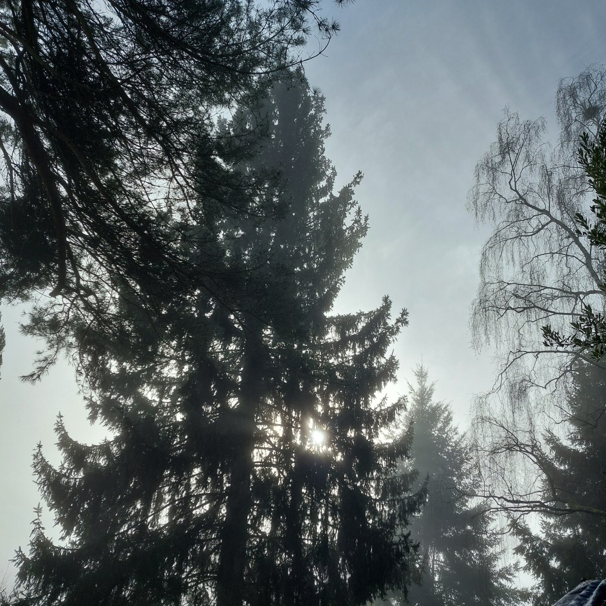 Bilan de janvier&nbsp;2026