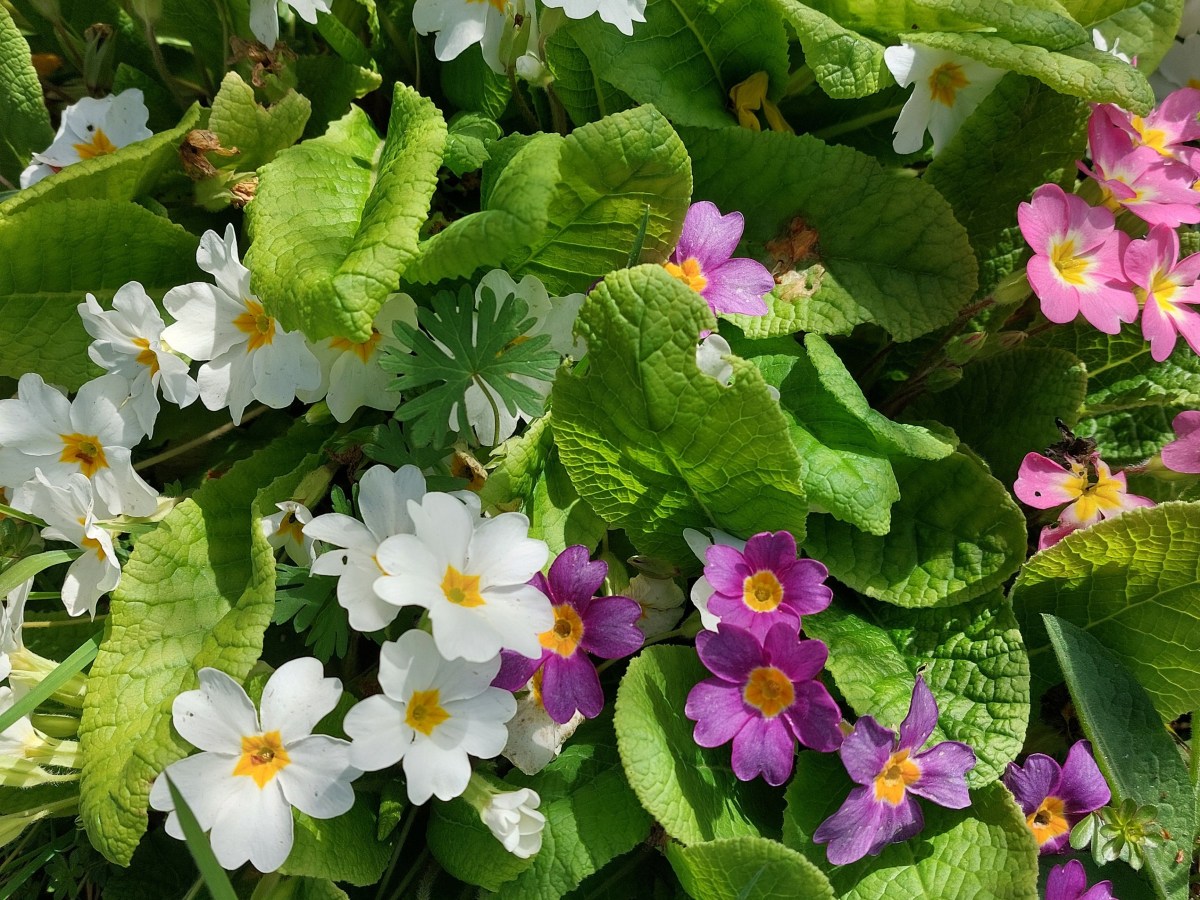 Bilan de mars&nbsp;2026