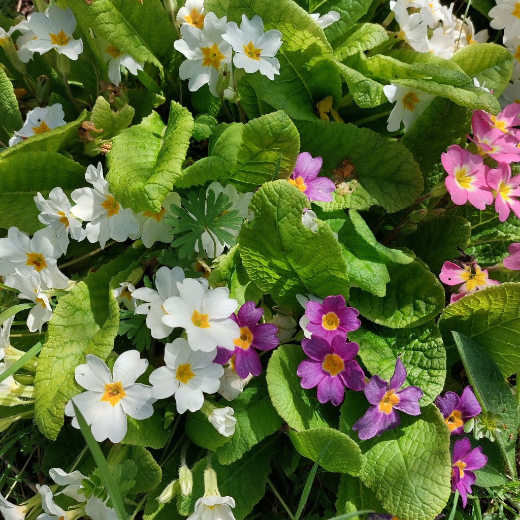 Bilan de mars&nbsp;2026